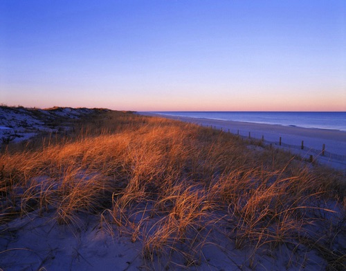 Winter Dunes Horizontal, Island Beach State Park, Ocean County, NJ (MF).jpg